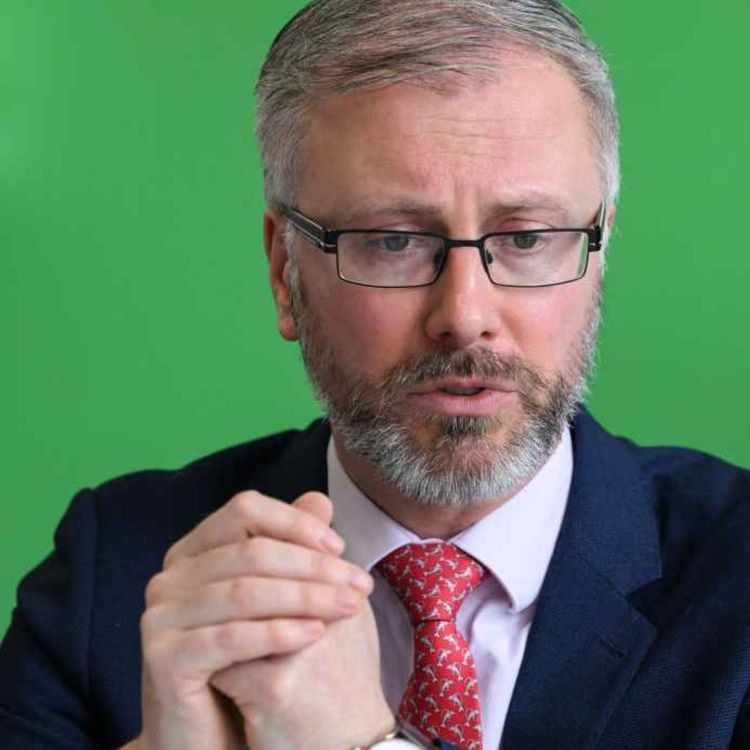 cover art for The Green Party leader visits Limerick