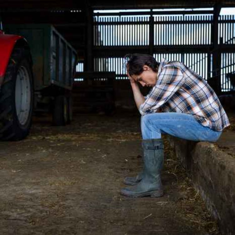 cover art for Tackling cocaine addiction among Limerick farmers