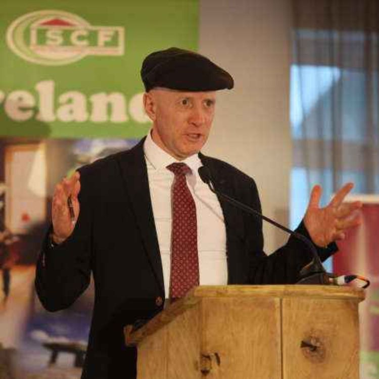 cover art for Reaction to Deputy Michael Healy Rae assault