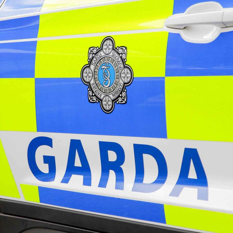 cover art for 29 arrested as part of major multi-agency operation in Croom Co Limerick