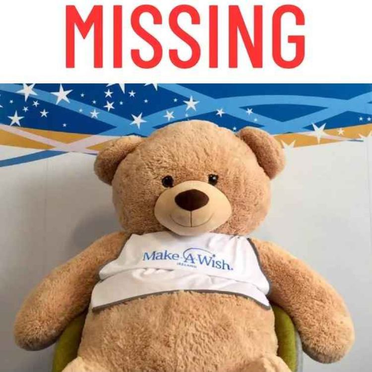 cover art for Where is Hope? Finding the missing Make-A-Wish bear 
