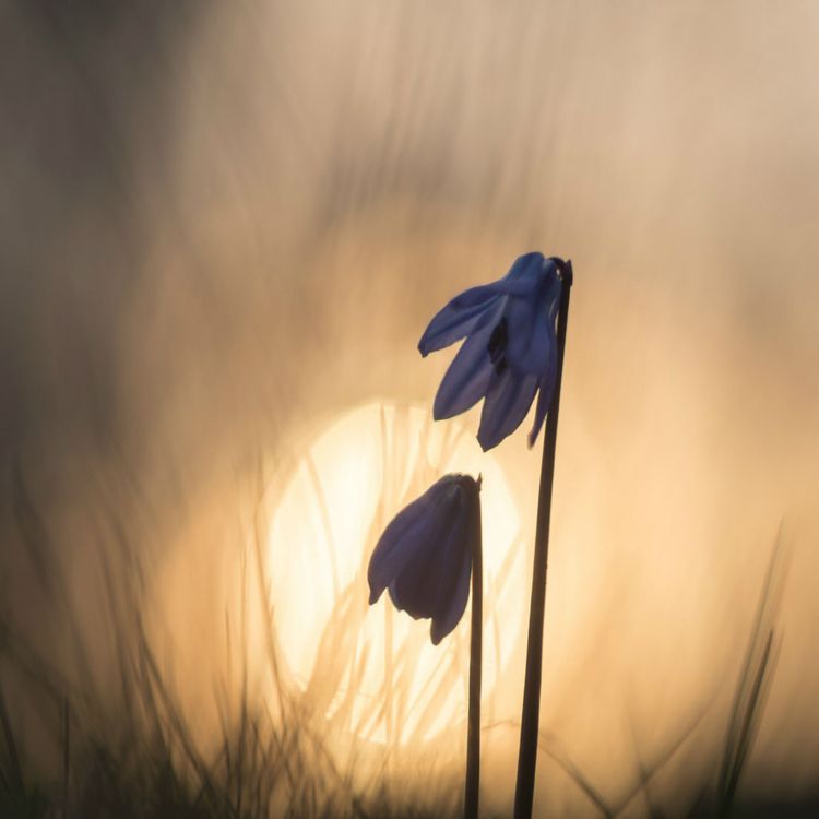 cover art for Limerick mother describes the devastating effect 'Chronic Pain Syndrome' has had on her family