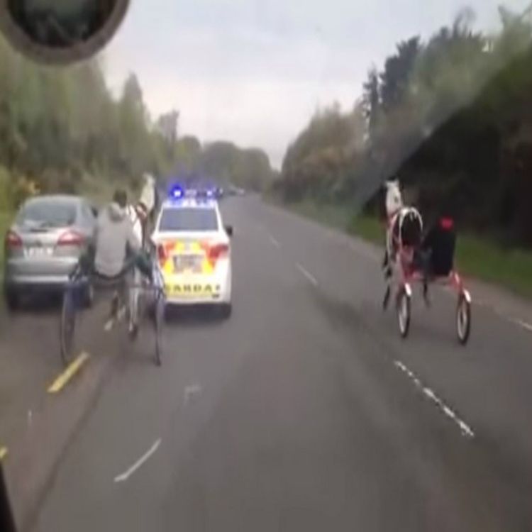 cover art for Should sulky riding be banned on public roads?