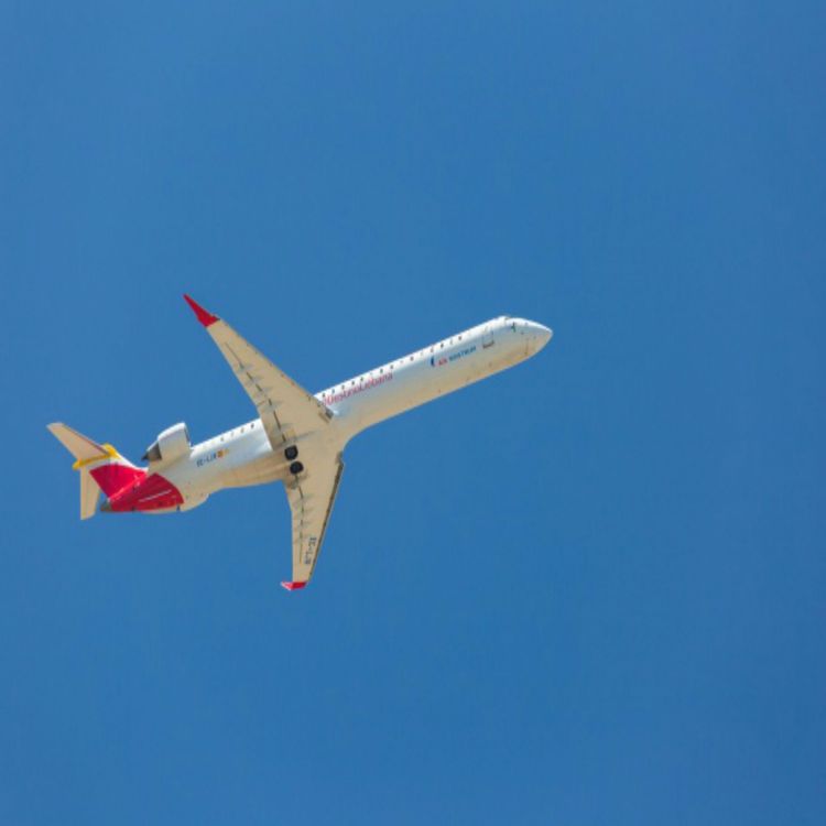 cover art for Japanese natives gives us an taste of culture and customs Irish rugby fans will come across whilst in Tokyo