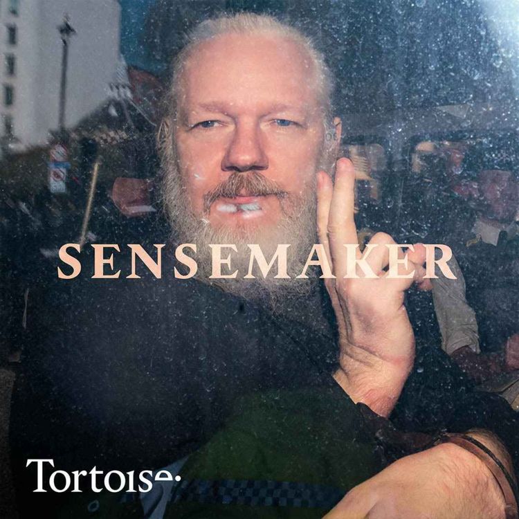 cover art for Ep 797: The case against Julian Assange
