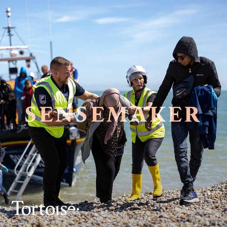 cover art for Ep 804: Border farce: the sacked Home Office inspector