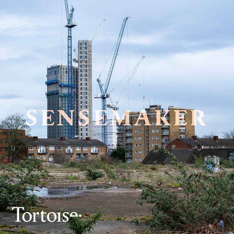 cover art for Ep 893: What is the ‘grey belt’?