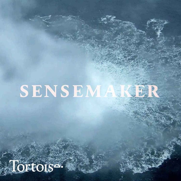 cover art for The Ukrainian accused of blowing up the Nord Stream pipeline