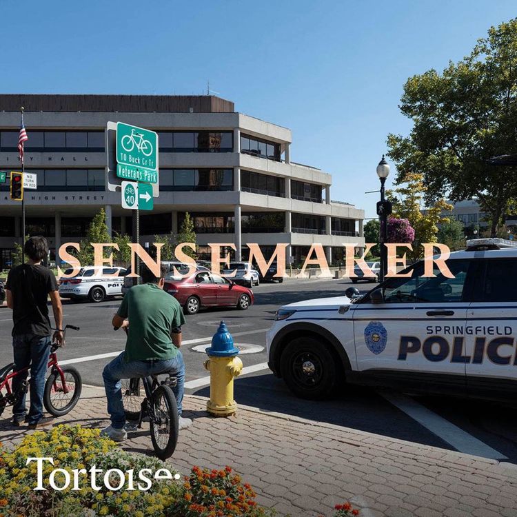 cover art for Springfield under siege