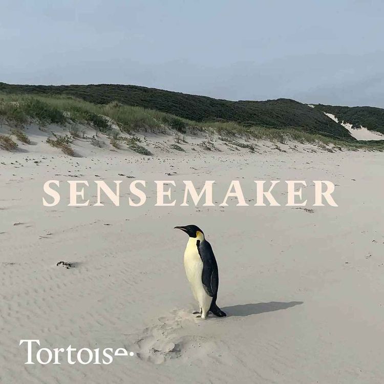 cover art for The world’s loneliest penguin