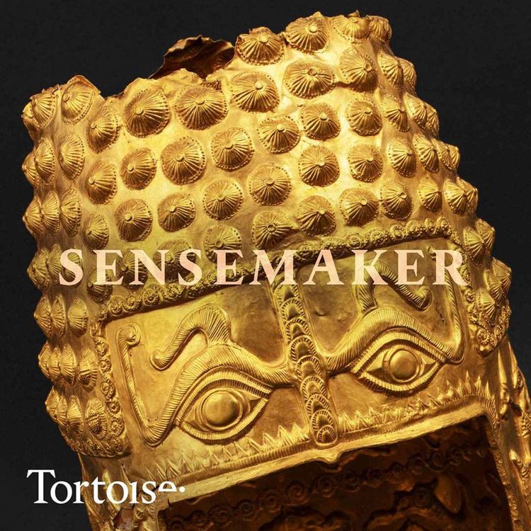 cover art for Who stole ancient treasures from the Drents Museum?