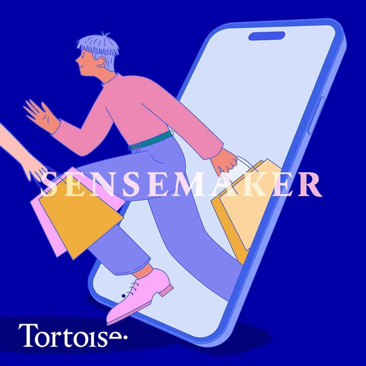 cover art for Has buy now, pay later gone too far?