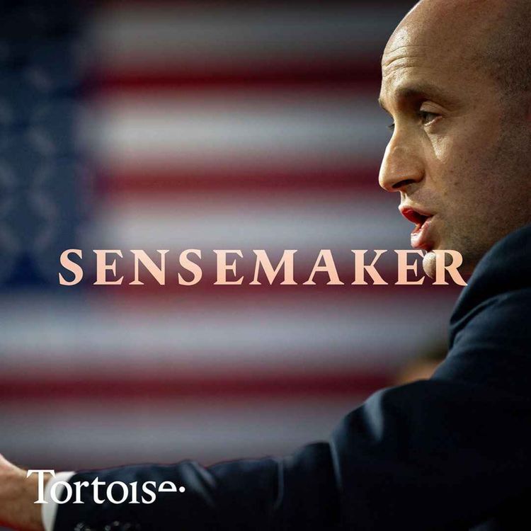 cover art for Who is the man behind Donald Trump’s war on DEI?