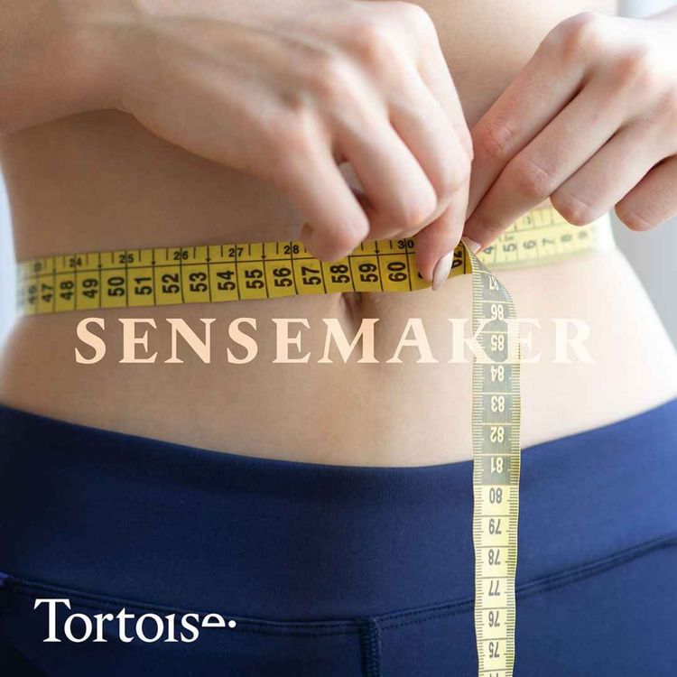 cover art for What's Behind the Rise of Thin-Fluencers?