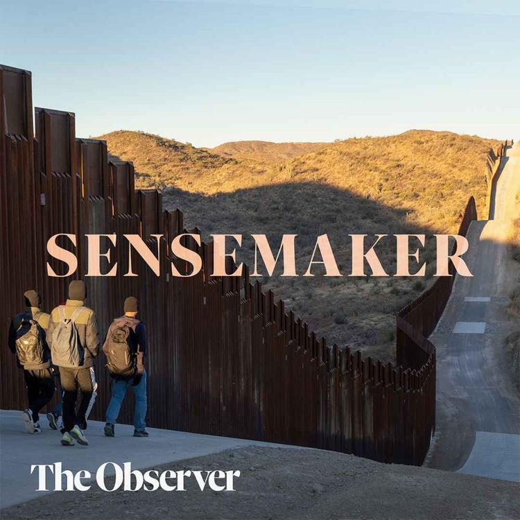 cover art for Is Trump succeeding in deporting millions?