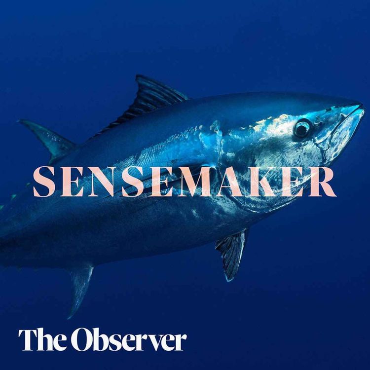 cover art for What’s really in your can of tuna?