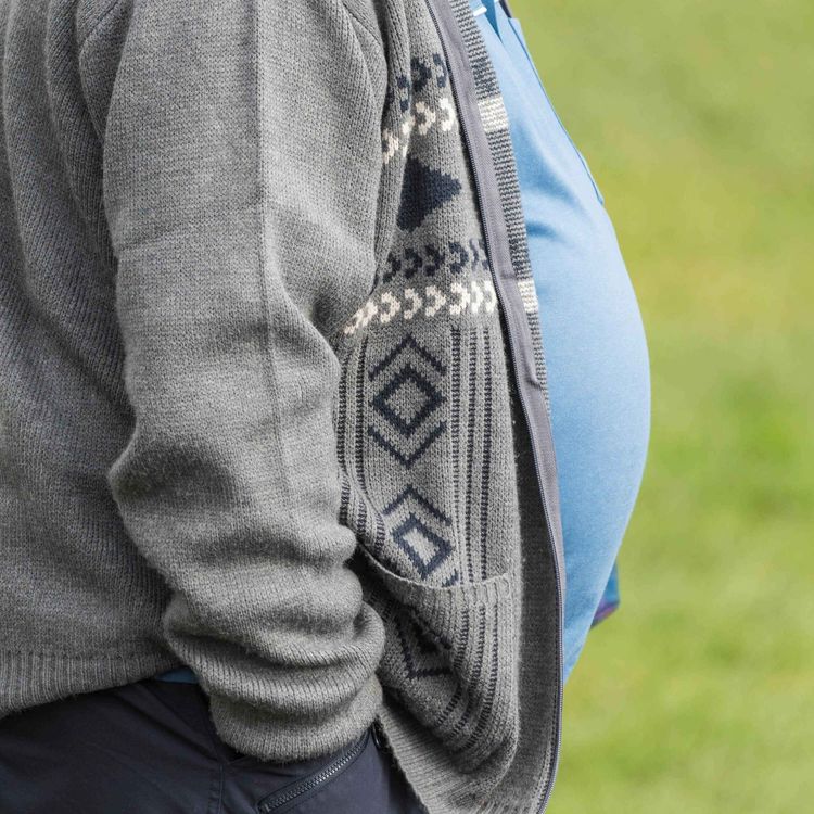 cover art for Can Labour reduce obesity rates?