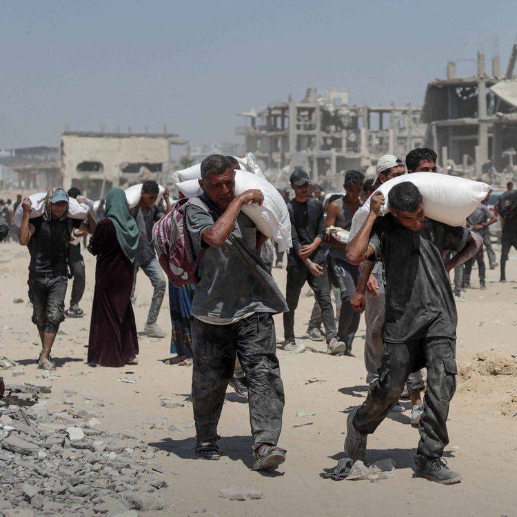 cover art for How much aid is getting through to Gaza?