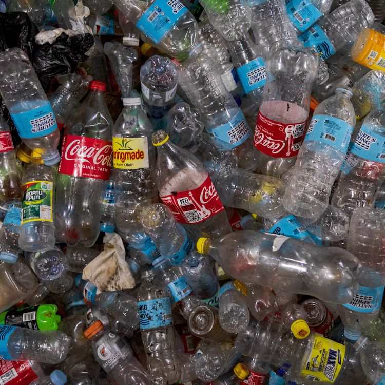 cover art for How to fix the world's plastic pollution?