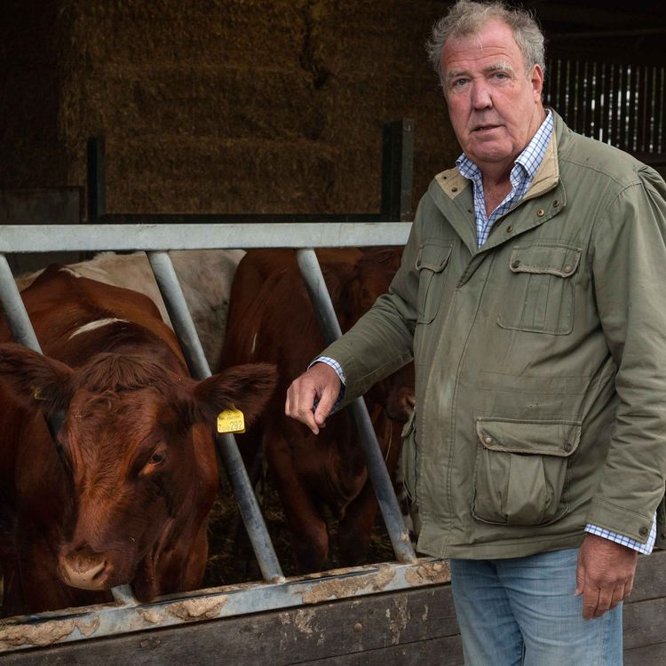 cover art for How bovine TB shut down Clarkson’s farm