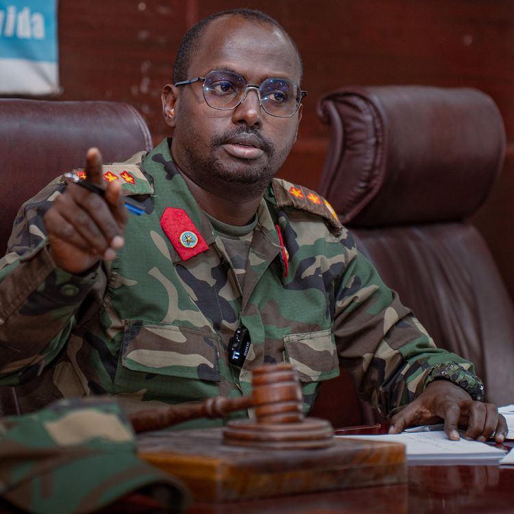 cover art for Who is the Somali judge with 1.5 million TikTok followers?