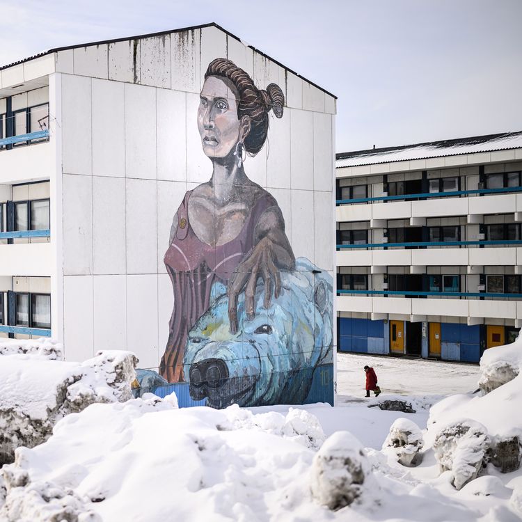 cover art for Has Trump’s obsession with Greenland helped its people?