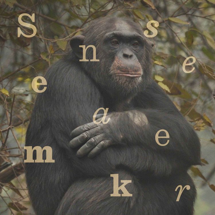 cover art for Why is there controversy surrounding India’s mega zoo?