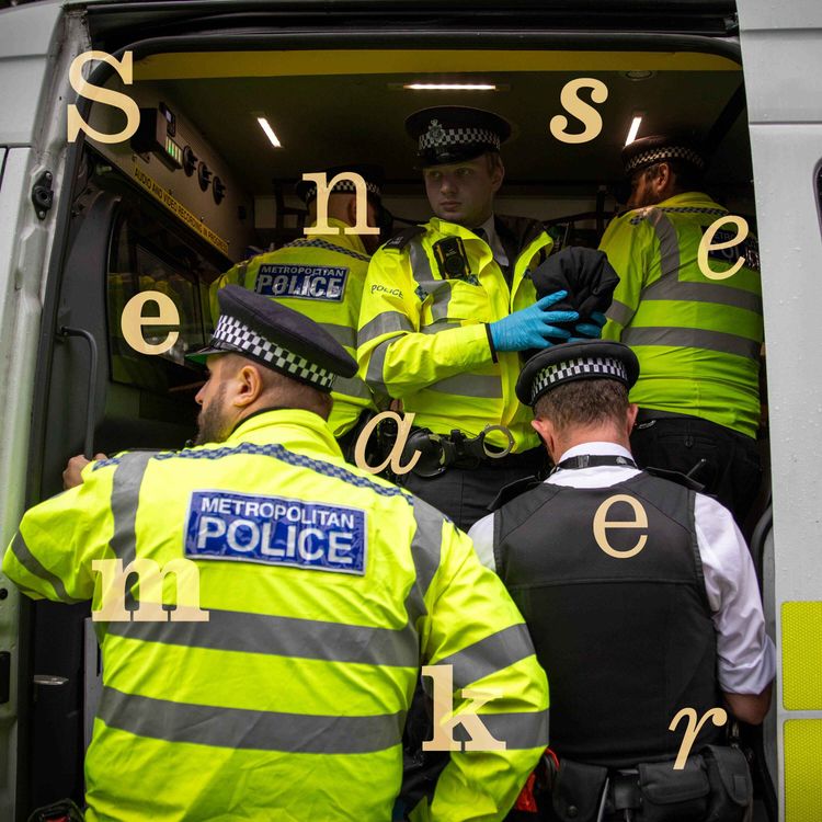 cover art for How applicants that failed vetting became Met police officers