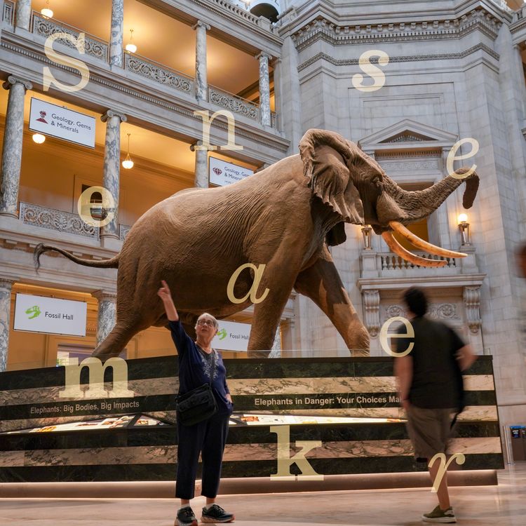 cover art for How far will Trump’s attacks on the Smithsonian go?