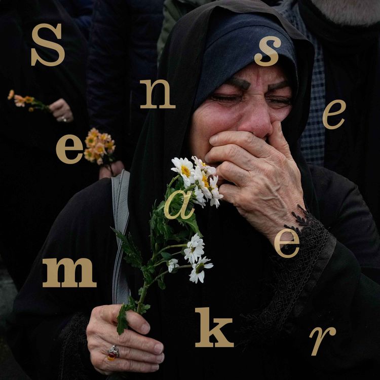 cover art for Will the Iranian regime survive?