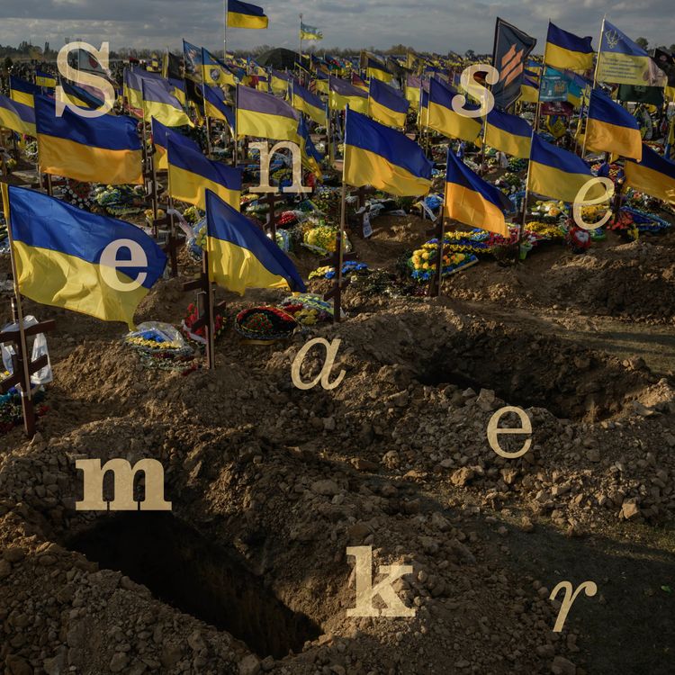 cover art for Russia’s war with Ukraine: four years on