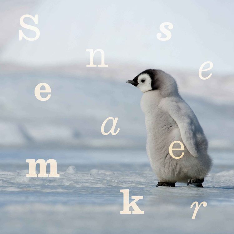 cover art for We’re losing the race to save the emperor penguin