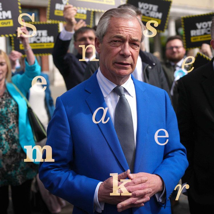 cover art for  Why do Reform councillors keep quitting the party?