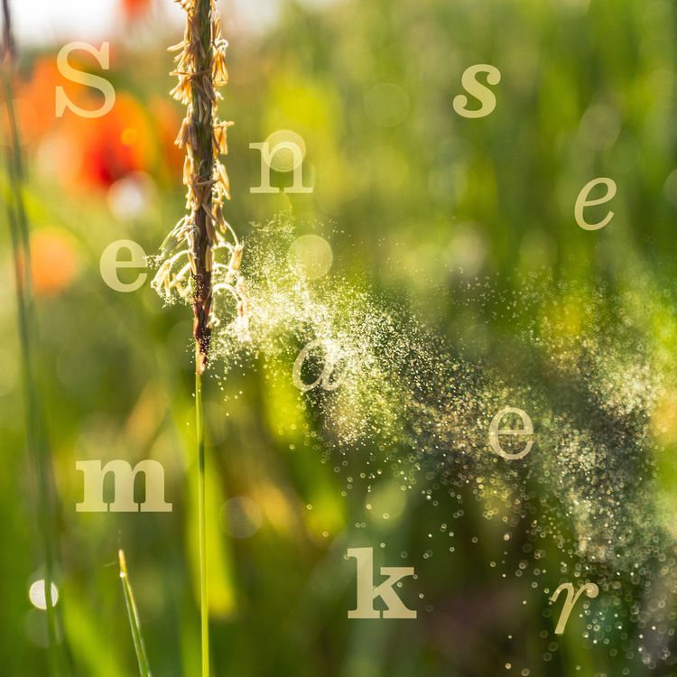 cover art for Why your hayfever is getting worse