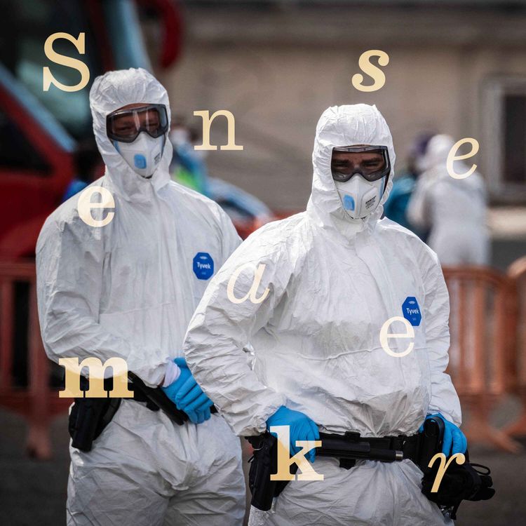 cover art for How worried should we be about hantavirus?