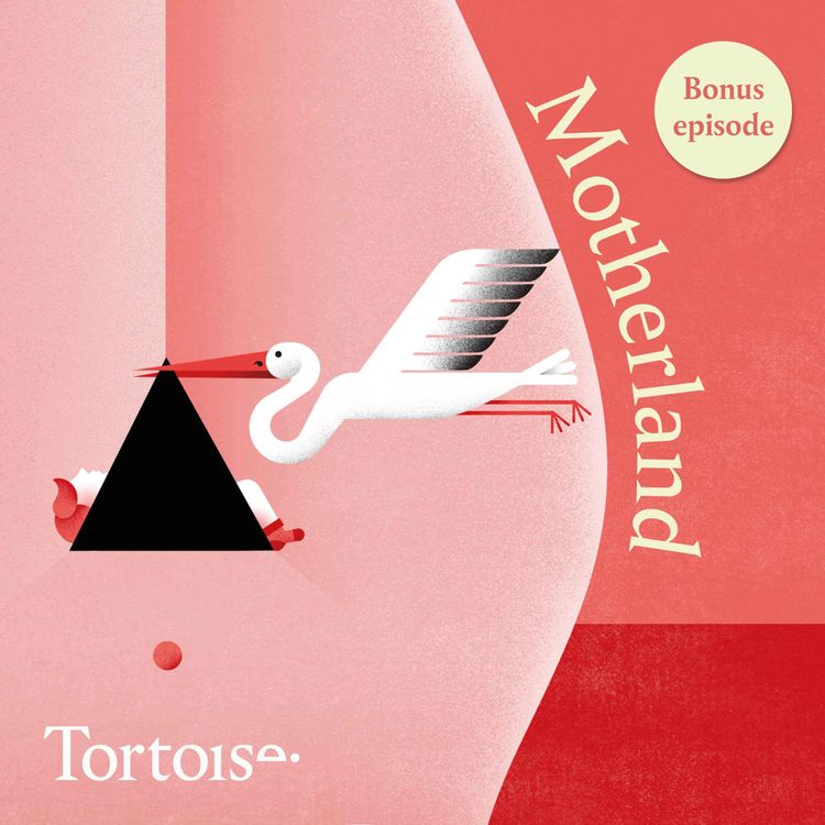 cover art for Motherland