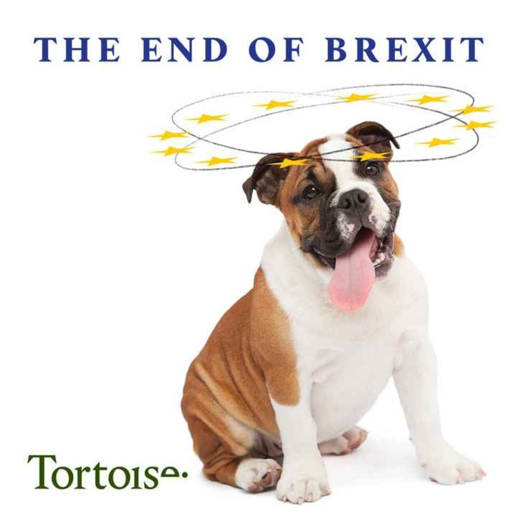 cover art for The end of Brexit