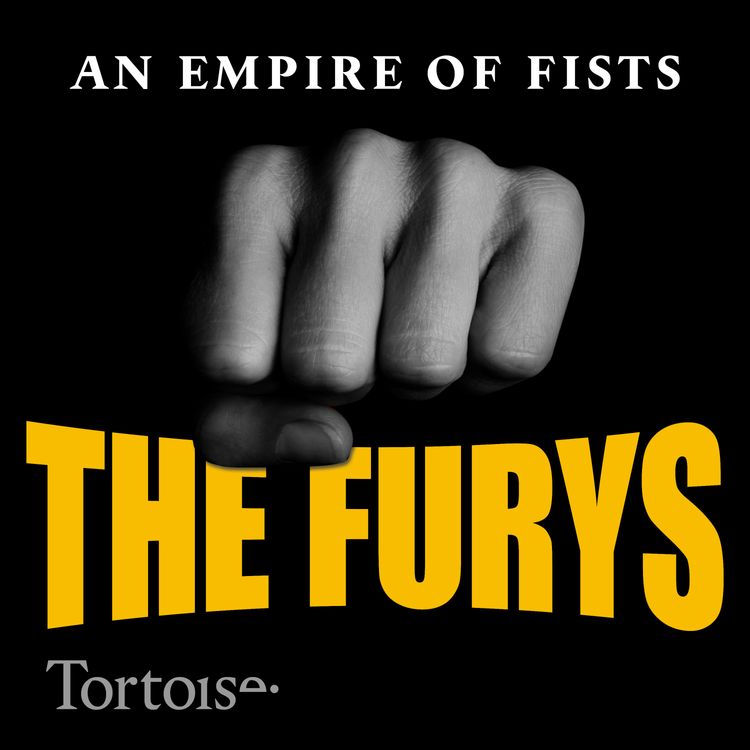 cover art for The Furys: An empire of fists