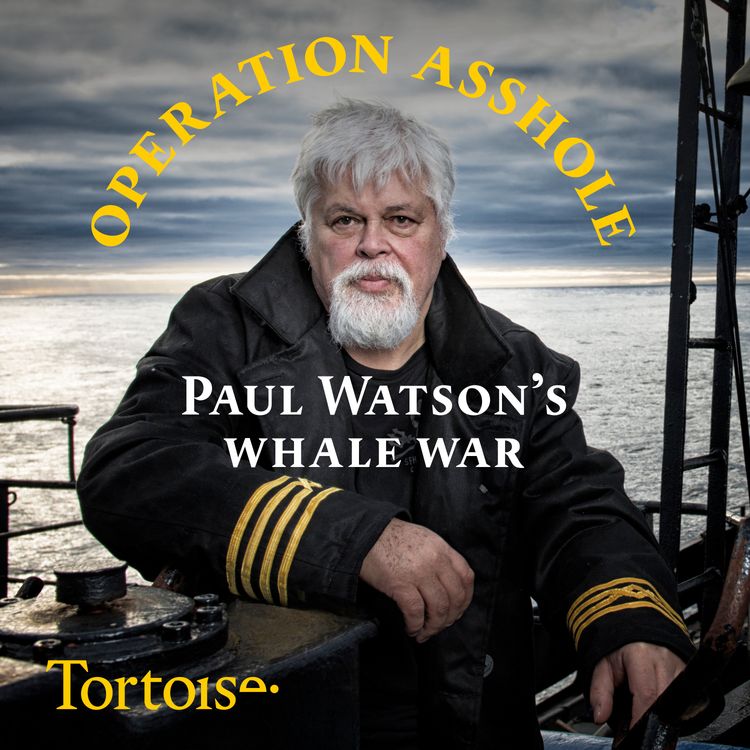 cover art for Operation Asshole: Paul Watson's whale war