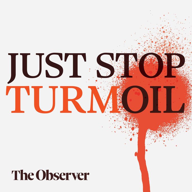 cover art for Just Stop TurmOil