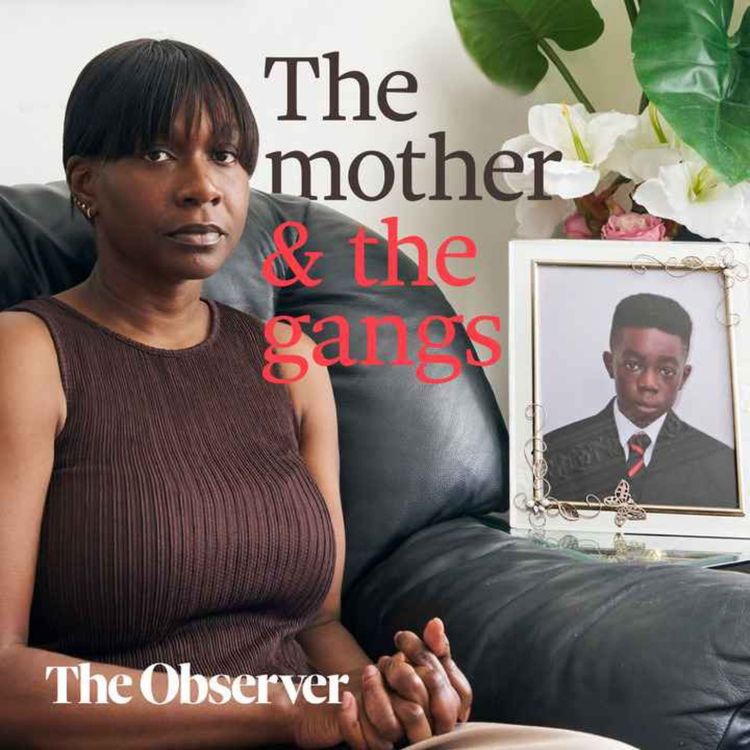 cover art for The mother and the gangs