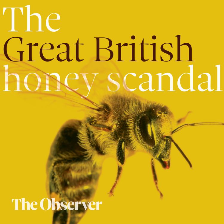 cover art for The great British honey scandal