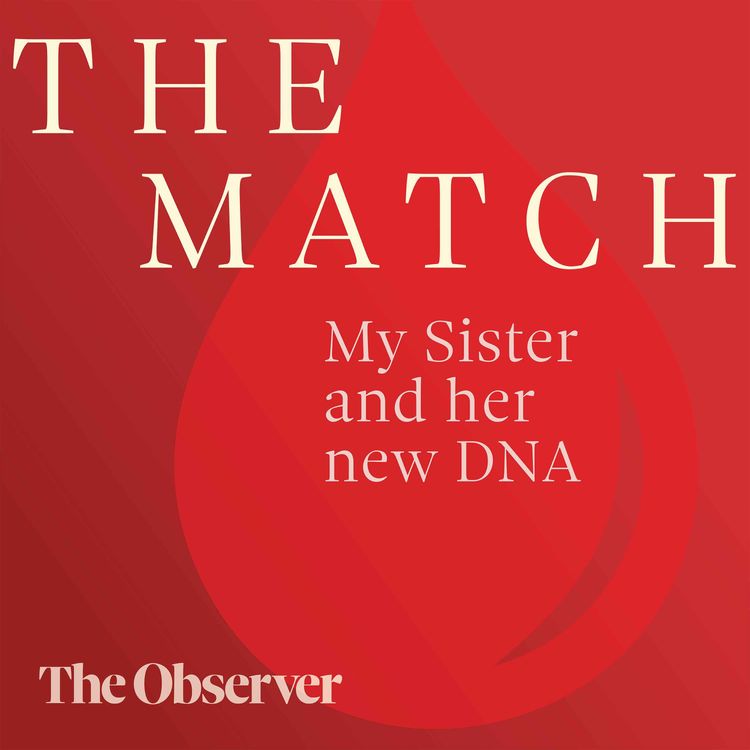 cover art for The match: My sister and her new DNA