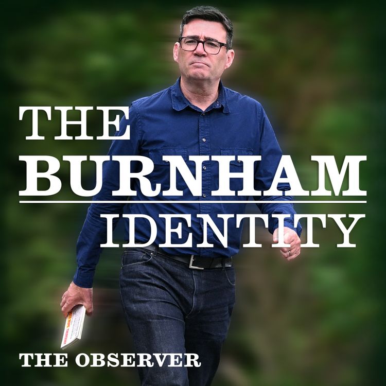 cover art for The Burnham Identity