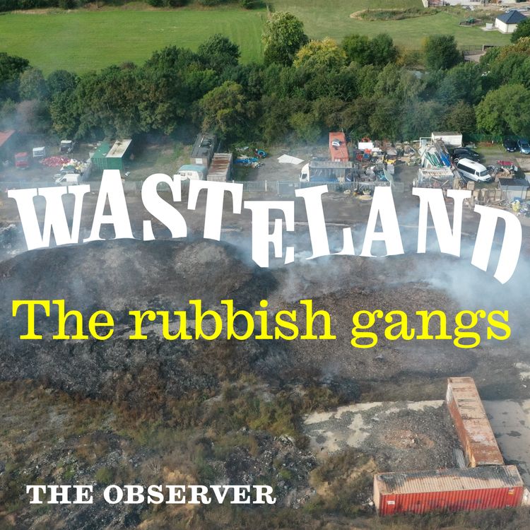 cover art for Wasteland: the rubbish gangs