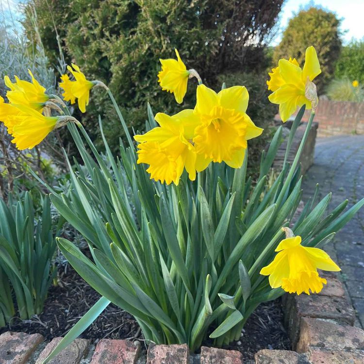 cover art for Late Lunch Thursday March 24th 2022