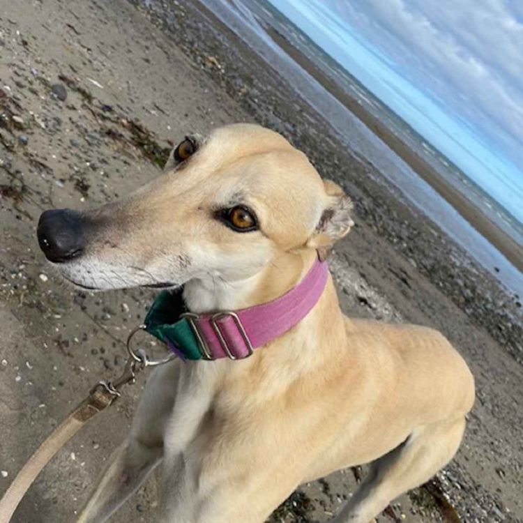 cover art for Late Lunch Wednesday September 14th 2022