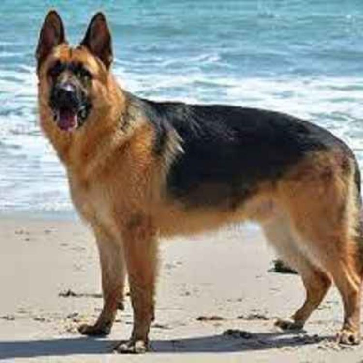 cover art for Late Lunch Friday December 2nd 2022