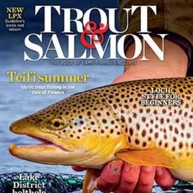 cover art for Late Lunch Friday March 3rd 2023