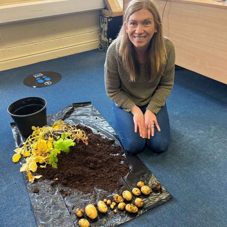 cover art for Late Lunch Wednesday May 24th 2023